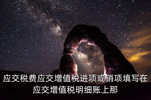 扣繳稅款登記填什么稅，在個人所得稅代扣代繳軟件中所要填寫的稅務(wù)登記號是填國稅的還是地