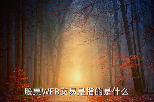 e稅通是什么，微軟認(rèn)證是什么意思