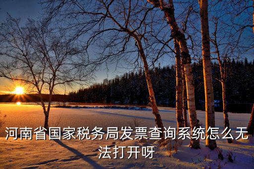 河南一體化辦稅為什么辦不成，河南省國家稅務(wù)局發(fā)票查詢系統(tǒng)怎么無法打開呀