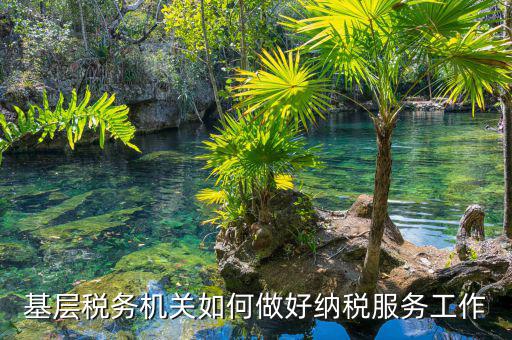 納稅服務(wù)是指什么，納稅服務(wù)的三個(gè)主體是什么