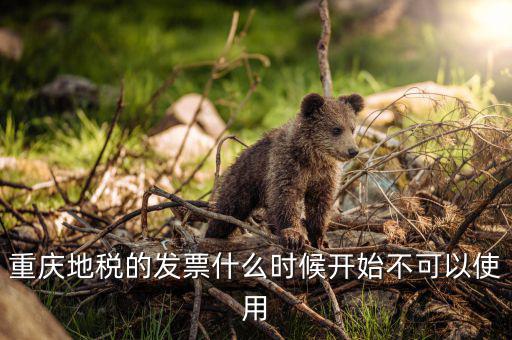地稅運(yùn)輸客票什么時(shí)候停用，地稅舊版本發(fā)票什么時(shí)候作廢