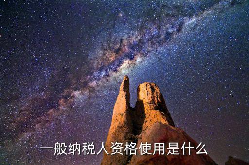 納稅資格包括什么，一般納稅人的認(rèn)定資格是什么