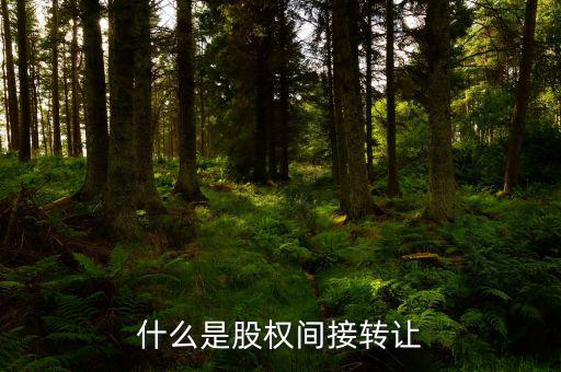 什么是股權間接轉讓，什么是股權間接轉讓