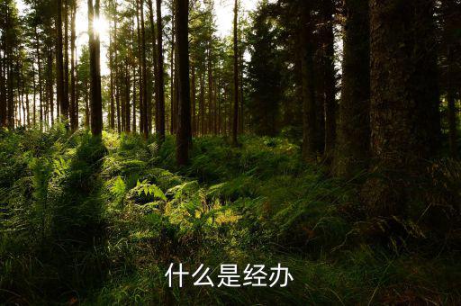 稅務(wù)文書(shū)經(jīng)辦是什么意思，什么是經(jīng)辦