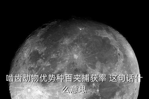 所得捕捉率是什么，餐飲業(yè)中的捕獲率是什么意思