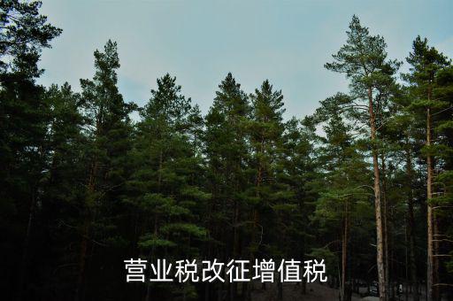 什么是營業(yè)稅改征增值稅試點期間，我國全面推開營業(yè)稅改征改征增值稅是哪一年