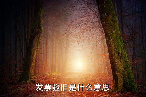 增值稅驗舊是什么意思，發(fā)票驗證時提示舊系統(tǒng)已驗舊是什么意思