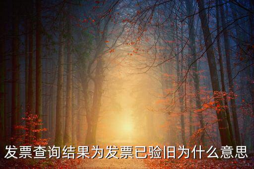 發(fā)票查詢(xún)驗(yàn)舊日期是什么意思，發(fā)票查詢(xún)結(jié)果為發(fā)票已驗(yàn)舊為什么意思