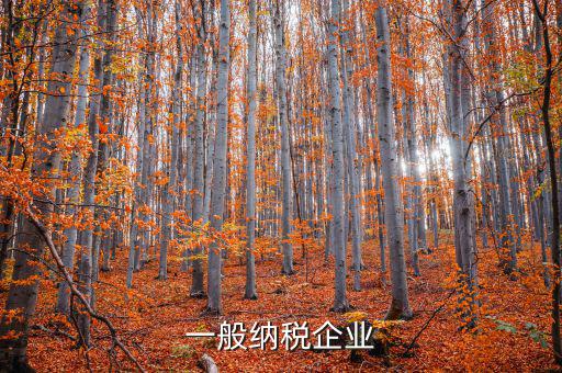 什么是增值稅一般納稅企業(yè)，什么是一般納稅人公司