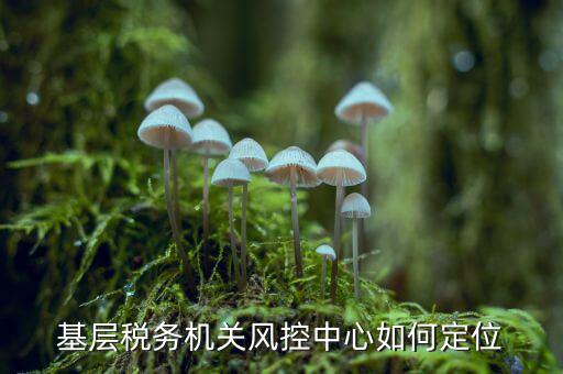 國稅局風(fēng)控辦負(fù)責(zé)什么，基層稅務(wù)機關(guān)風(fēng)控中心如何定位