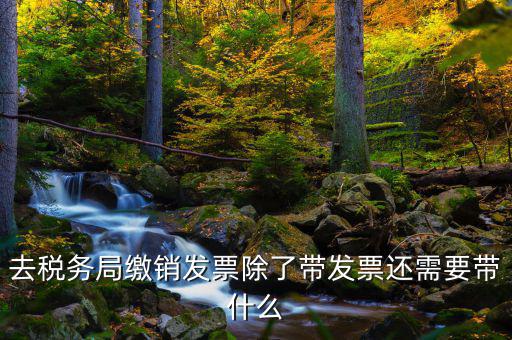 發(fā)票繳銷需要什么，未使用的發(fā)票如何繳銷需要哪些資料