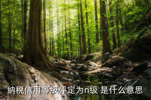 國稅信用級(jí)別是什么，納稅信用等級(jí)評(píng)定為n級(jí) 是什么意思
