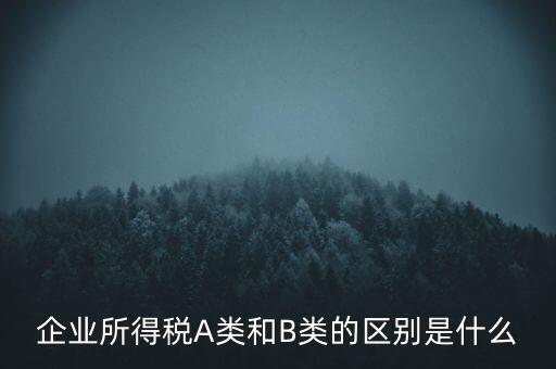 企業(yè)所得稅b類(lèi)是什么意思，企業(yè)所得稅A類(lèi)和B類(lèi)的區(qū)別是什么