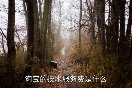 技術(shù)咨詢服務(wù)費(fèi)指什么，醫(yī)藥行業(yè)技術(shù)服務(wù)費(fèi)包含什么內(nèi)容