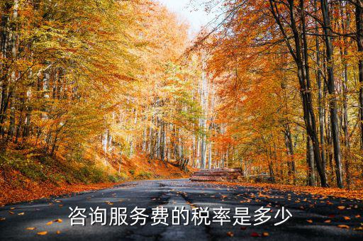咨詢服務(wù)交什么稅，公司收到一筆咨詢費(fèi)應(yīng)該如何納稅稅率是多少急謝謝