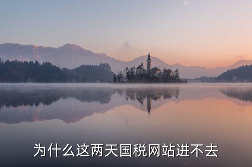 為什么濟(jì)南國(guó)稅網(wǎng)站進(jìn)不去，為什么這兩天國(guó)稅網(wǎng)站進(jìn)不去