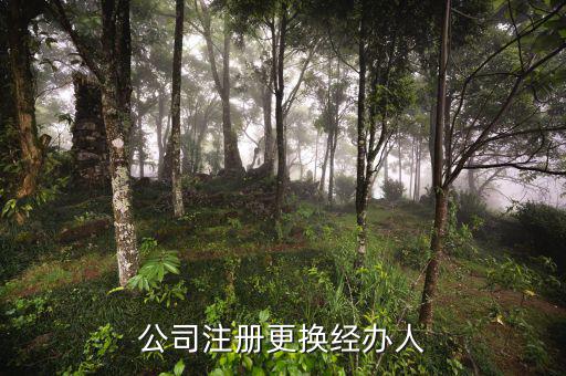 公司注銷經(jīng)辦人有什么意思，經(jīng)辦人一詞詳解