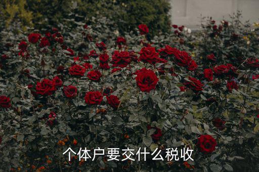 新開個體戶要交什么稅，我想開個小店當個體戶請問要交什么稅