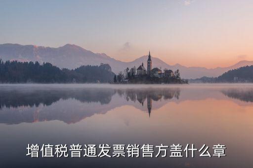 發(fā)票稅務(wù)章什么樣的，增值稅普通發(fā)票銷售方蓋什么章