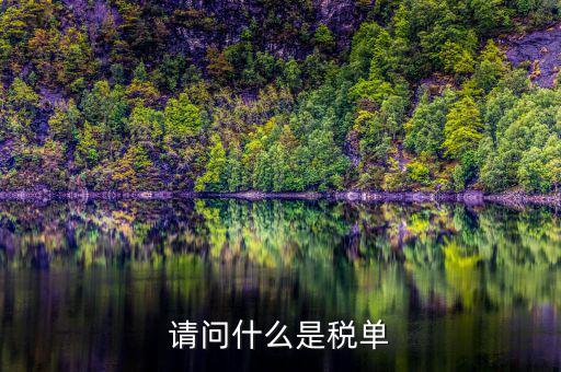 納稅申報(bào)單是什么，網(wǎng)上申報(bào)納稅都是什么報(bào)表 如何操作 簡單么