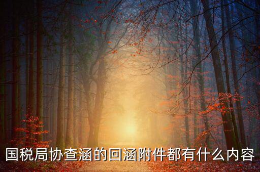 國稅局協(xié)查涵的回涵附件都有什么內容