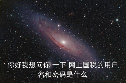 你好我想問(wèn)你 一下 網(wǎng)上國(guó)稅的用戶(hù)名和密碼是什么