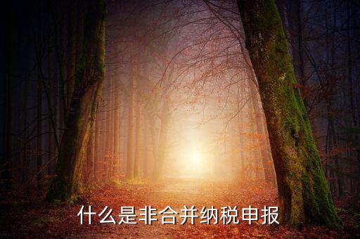 什么是非匯總納稅企業(yè)，什么是跨區(qū)經營匯總納稅企業(yè)