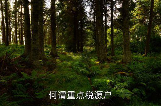 為什么要填重點(diǎn)稅源啊，重點(diǎn)稅源的介紹