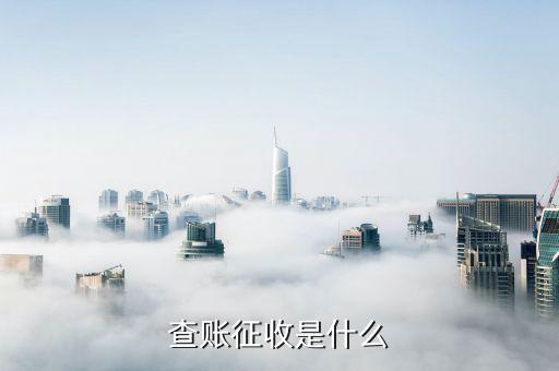 什么是查賬征收，查賬征收是什么