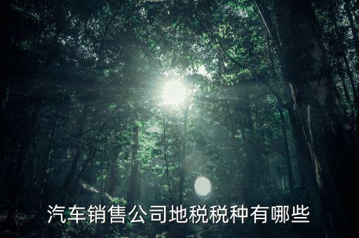 銷售汽車?yán)U納什么稅，一般納稅人公司銷售使用過(guò)的汽車要交哪些稅