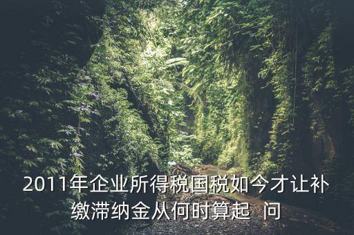 納稅滯納金什么時(shí)候算，企業(yè)所得稅滯納金計(jì)算從何時(shí)開始計(jì)算