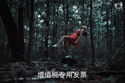 什么是增值稅專業(yè)發(fā)票，什么是增值稅發(fā)票