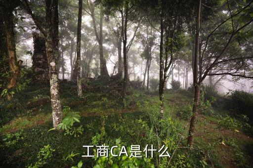 什么是企業(yè)ca密碼，ca證書密碼是什么