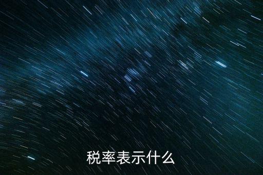 納稅代表什么，稅率表示什么