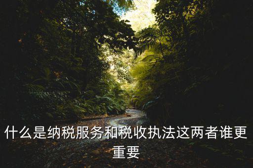 什么是納稅服務(wù)，什么是納稅服務(wù)和稅收?qǐng)?zhí)法這兩者誰(shuí)更重要