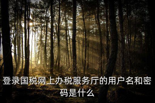 國稅網(wǎng)上登錄密碼是什么意思，國稅第一次網(wǎng)上申報(bào)的登陸密碼是什么