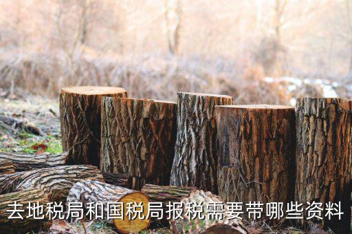 地稅局交稅需要什么，去地稅局繳納營業(yè)稅金及附加需要帶什么資料