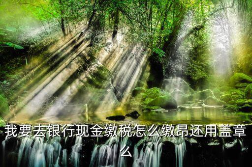 納稅戶銀行交稅除了蓋章還要什么，打印出表來后銀行會直接扣稅么然后還要帶著打出來的表去稅務