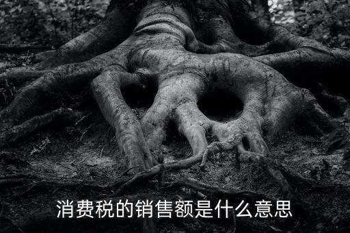 納稅人銷售額指什么意思，消費(fèi)稅的銷售額是什么意思
