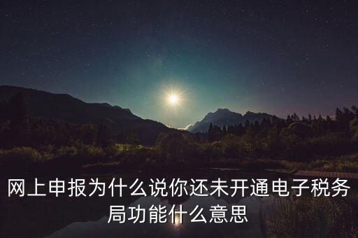 電子稅務(wù)局是干什么，企業(yè)金稅盤系統(tǒng)用來開票抄稅報稅用那登錄國稅地稅局網(wǎng)站是干嘛的