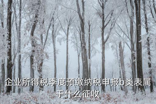 所得稅b類按什么征收，企業(yè)所得稅季度預(yù)繳納稅申報(bào)b類表屬于什么征收