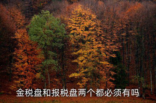 申報盤是什么，保險兼業(yè)代理人資格申報電腦數(shù)據(jù)盤是什么意思