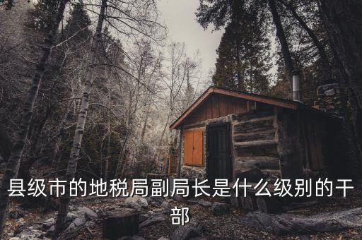 地稅局副局什么級(jí)別，縣級(jí)市的地稅局副局長是什么級(jí)別的干部