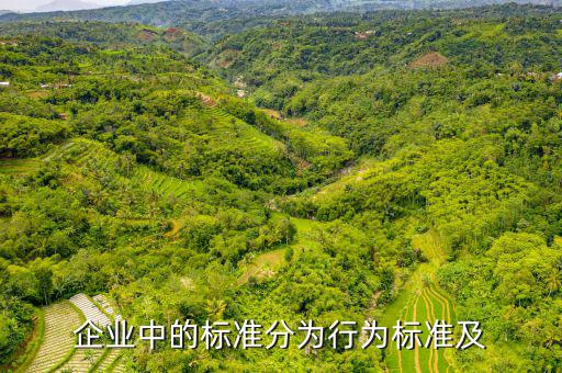 公司的標(biāo)準(zhǔn)是什么，企業(yè)中的標(biāo)準(zhǔn)分為行為標(biāo)準(zhǔn)及