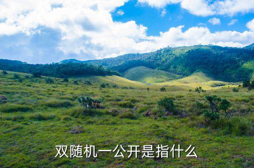 稅務(wù)雙隨機(jī)一公開是什么意思，雙隨機(jī)一公開屬于什么用語比如習(xí)語標(biāo)語或者成語之類的因?yàn)?/></a></span><span id=