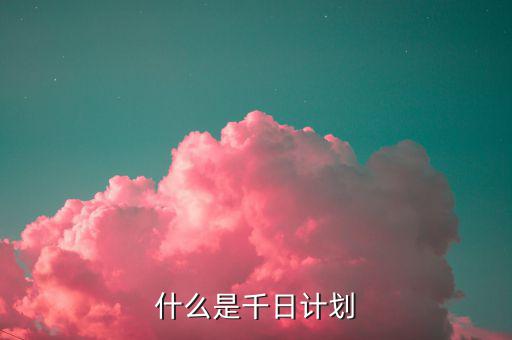 千戶集團(tuán)計劃 是什么，什么是千日計劃