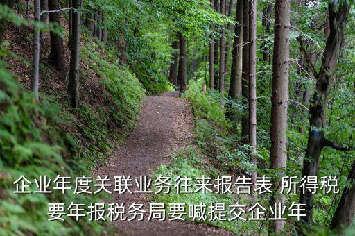 國稅關聯(lián)表是什么意思，所得稅中關聯(lián)關系是什么意思