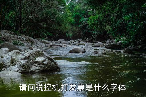 發(fā)票用什么字體，請問稅控機打發(fā)票是什么字體