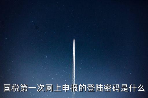 所得稅清算登陸密碼是什么，國(guó)稅第一次網(wǎng)上申報(bào)的登陸密碼是什么