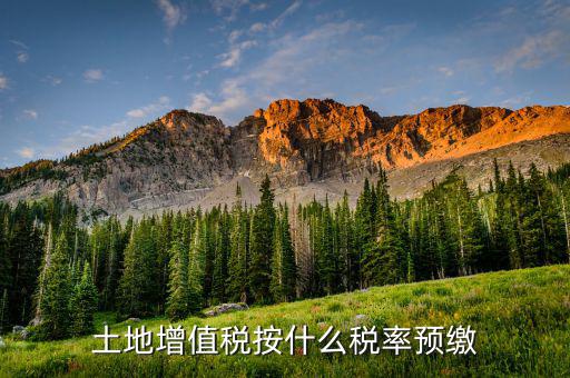 山東省土地增值稅按什么預(yù)繳，山東文登市土地增值稅預(yù)繳稅率是多少